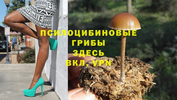 а пвп мука Белокуриха