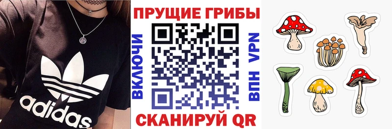 купить закладку  Луховицы  Псилоцибиновые грибы Psilocybine cubensis 