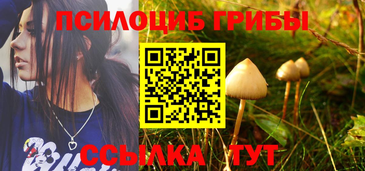 Галлюциногенные грибы Cubensis  Вход с VPN  Галлюциногенные грибы ЛСД  Луховицы 